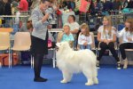 CACS Mâle Besançon 2015